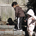 鎌倉