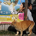 鎌倉