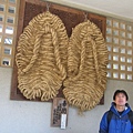 鎌倉