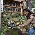 箱根