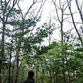 吉田山公園