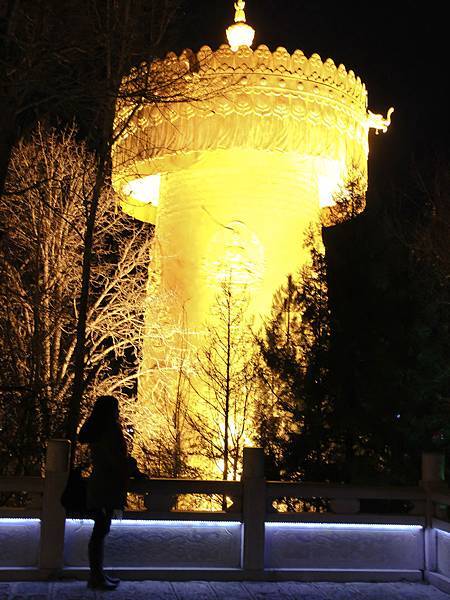 IMG_7287 IMG_7287