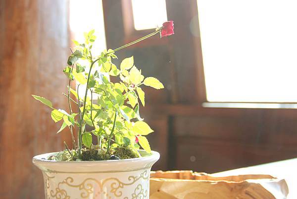 IMG_7208 IMG_7208