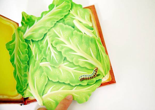 SAM-04.jpg SAM-04.jpg