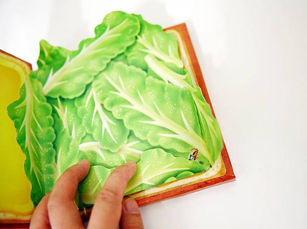 SAM-03.jpg SAM-03.jpg