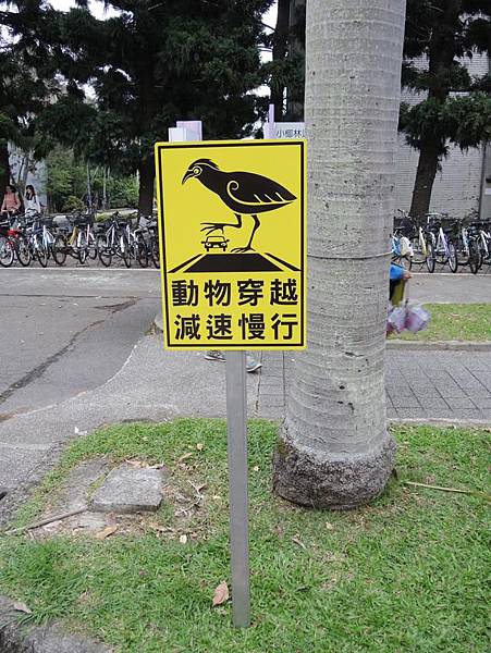 640_e7cf41499cf7900ff57ef6bffac67486