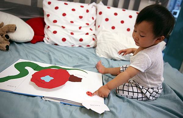 A66A3316.jpg A66A3316.jpg