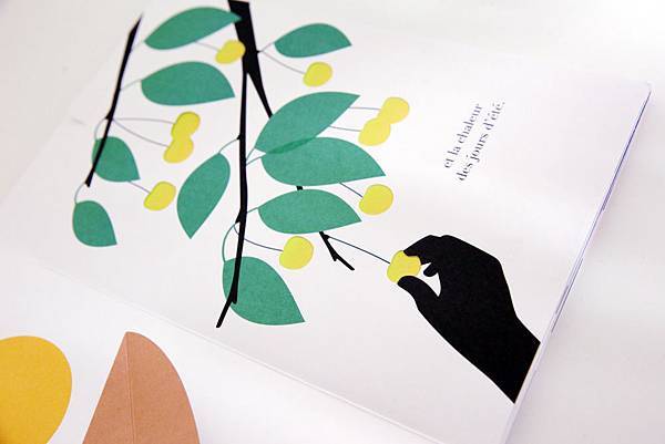 Bds-03.jpg Bds-03.jpg