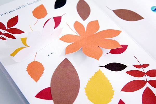 Bds-06.jpg Bds-06.jpg