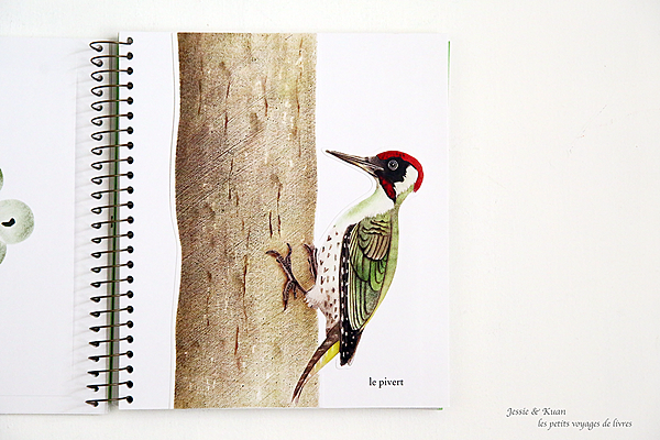 imagier-11.png imagier-11.png