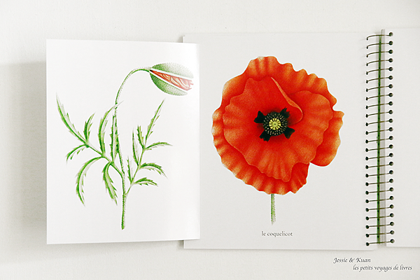 imagier-19.png imagier-19.png