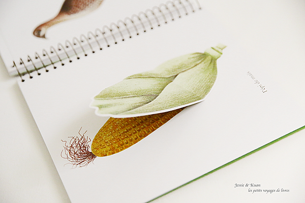 imagier-22.png imagier-22.png