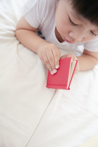 Nutshell-Library-k.png Nutshell-Library-k.png