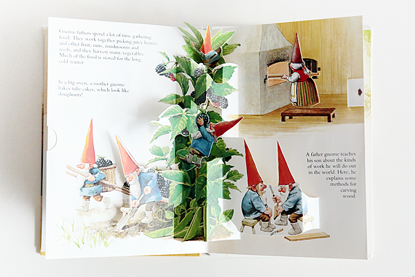 g_f_02.png g_f_02.png