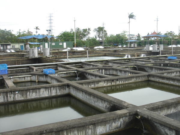 餐廳本身還有養殖場