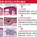 皮秒毛孔755皮秒雷射價格755皮秒雷射755蜂巢皮秒雷射蜂巢皮秒雷射皮秒蜂巢皮秒雷射推薦皮秒價格皮秒雷射多久打一次果酸換膚07.jpg