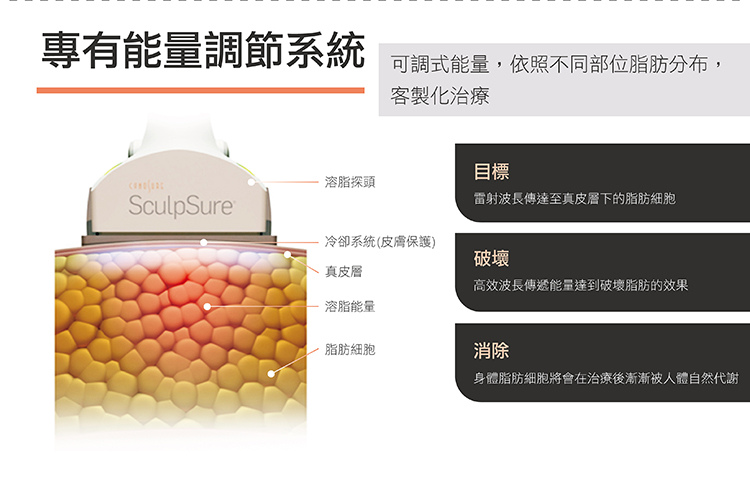 sculpsureSculpSure絲酷秀體雕減肥抽脂溶脂減重腹部大腿小腹肥胖手臂