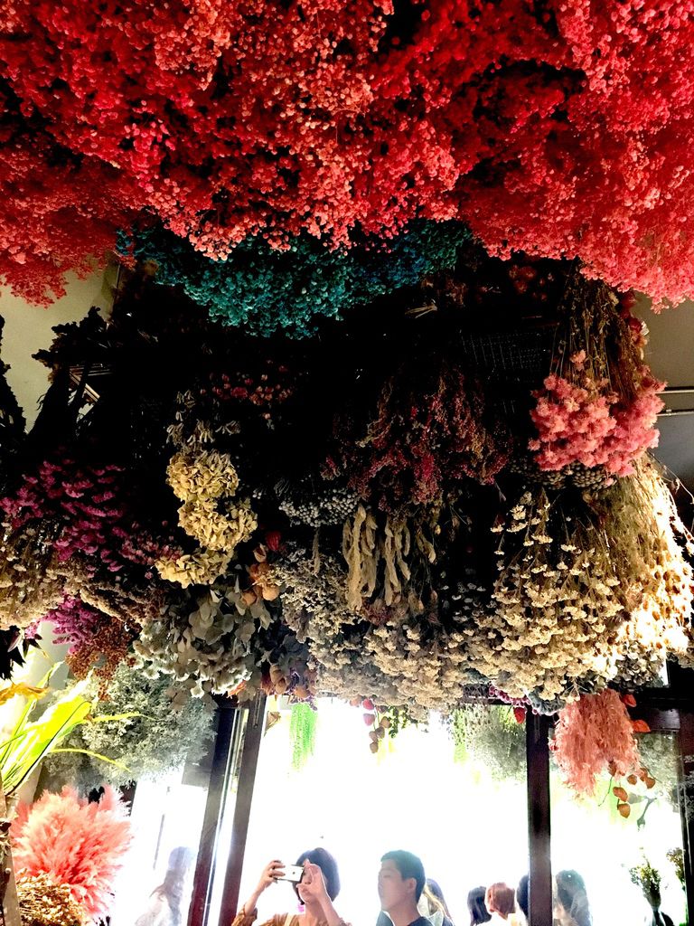 IMG_6137.JPG IMG_6137.JPG