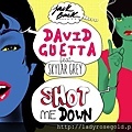 david-guetta-skylar-grey-show-me-down-official-2014-full-song-stream-listen.jpg