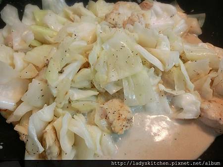日式奶油燉雞肉高麗菜 日式奶油燉雞肉高麗菜