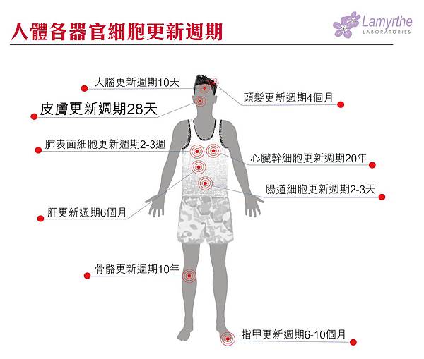 2019-2.jpg 2019-2.jpg