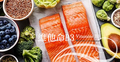 成分圖B3.png 成分圖B3.png