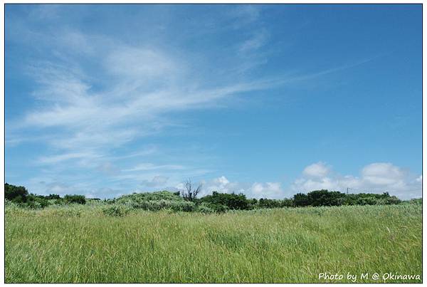 P6170323_副本_副本