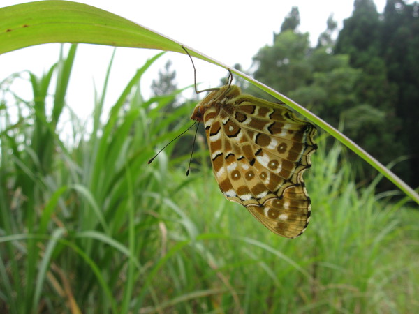 休息