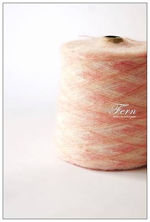 Fern 01 Fern 01