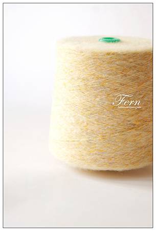 Fern 02 Fern 02