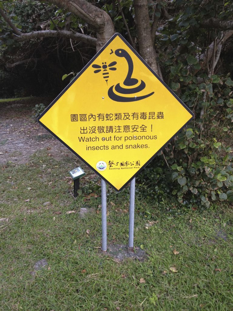 IMG_6335.jpg IMG_6335.jpg