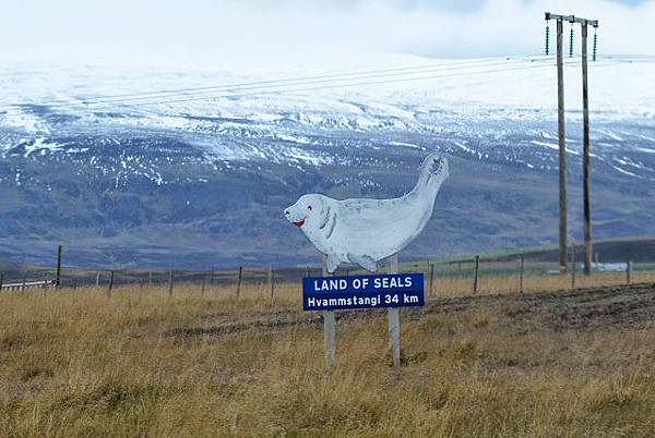 DSC_3491.JPG DSC_3491.JPG