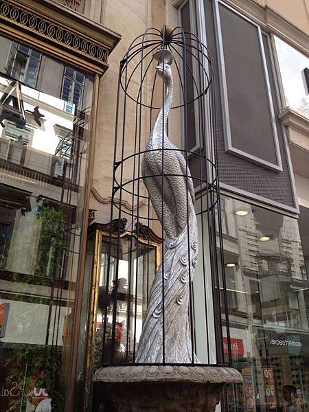 IMG_9535.jpg IMG_9535.jpg