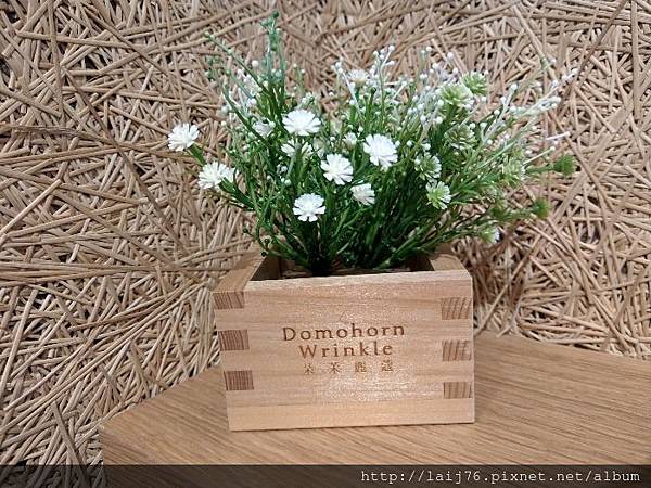 朵茉麗蔻.jpg 朵茉麗蔻.jpg