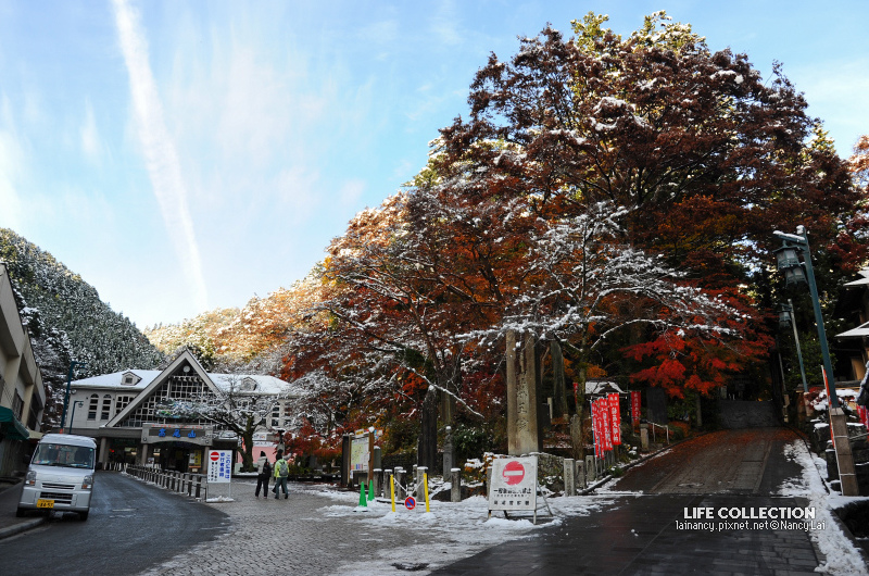 日本賞楓 東京高尾山初雪 Life Collection 痞客邦 日本賞楓 東京高尾山初雪 Life Collection 痞客邦
