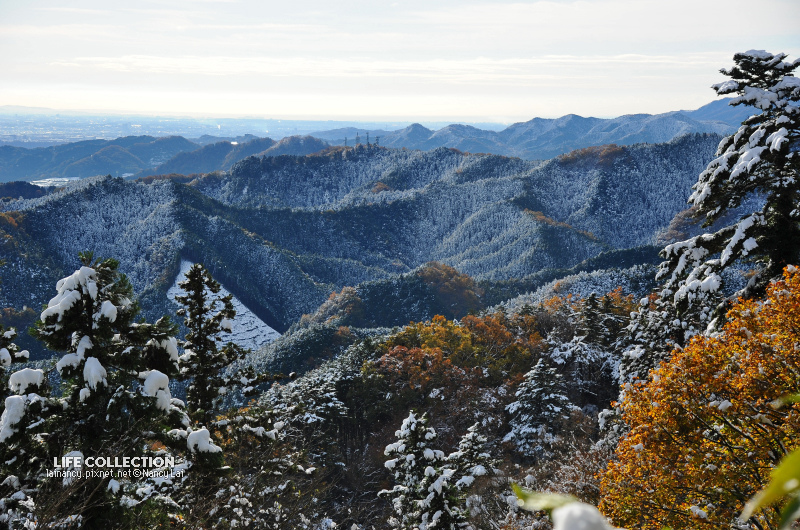 日本賞楓 東京高尾山初雪 Life Collection 痞客邦 日本賞楓 東京高尾山初雪 Life Collection 痞客邦