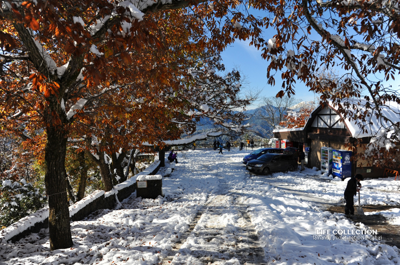 日本賞楓 東京高尾山初雪 Life Collection 痞客邦 日本賞楓 東京高尾山初雪 Life Collection 痞客邦