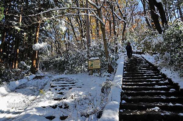 日本賞楓 東京高尾山初雪 Life Collection 痞客邦 日本賞楓 東京高尾山初雪 Life Collection 痞客邦