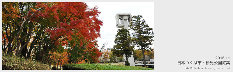 日本筑波市 松見公園紅葉 Life Collection 痞客邦
