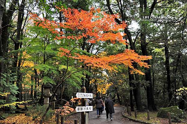 日本千葉 成田山新勝寺 成田山公園 Life Collection 痞客邦