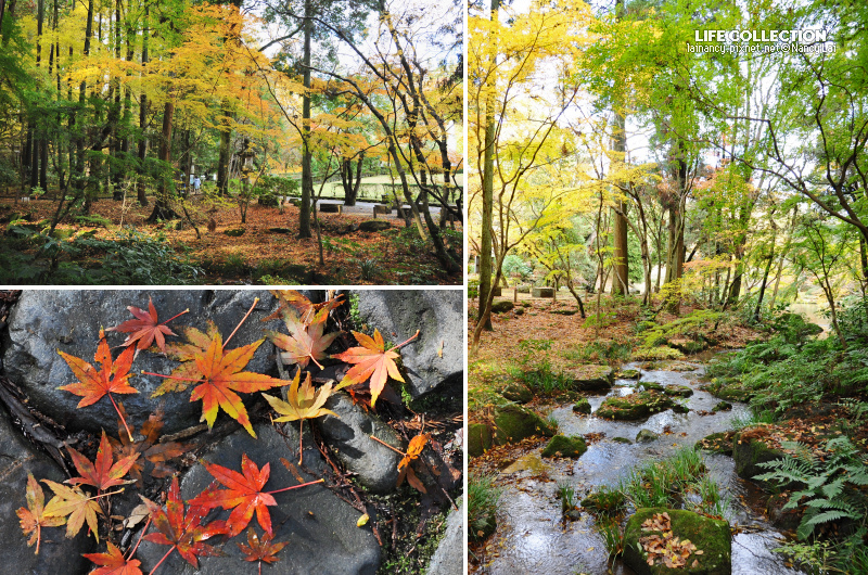 日本千葉 成田山新勝寺 成田山公園 Life Collection 痞客邦