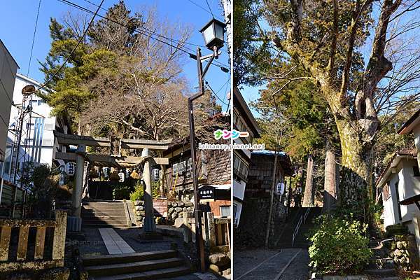 日本靜岡.伊豆市修禪寺、修善寺梅林@ Life Collection :: 痞客邦::