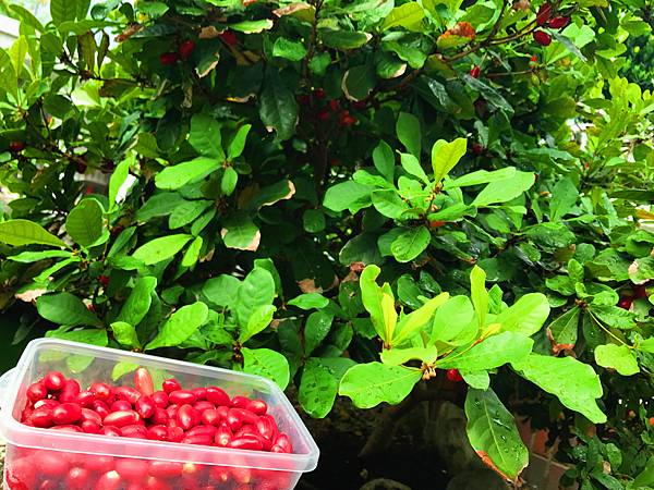 01-2IMG_8765.JPG 01-2IMG_8765.JPG