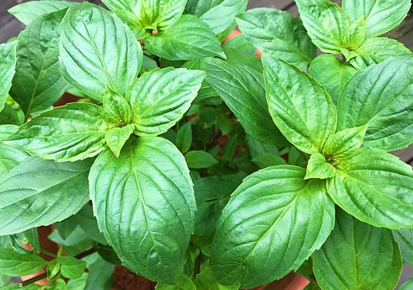 01-4IMG_6248.JPG 01-4IMG_6248.JPG