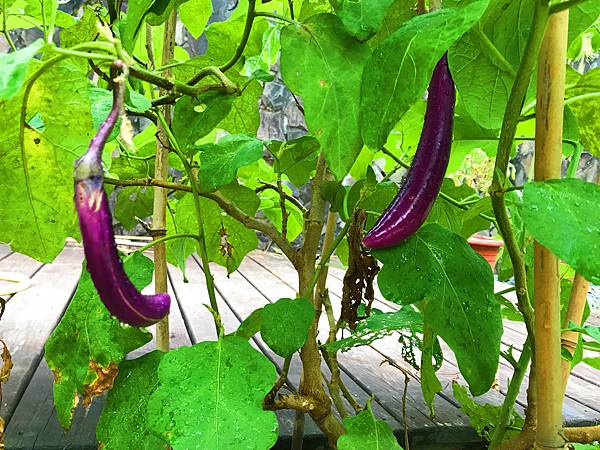 01-5IMG_6640.JPG 01-5IMG_6640.JPG