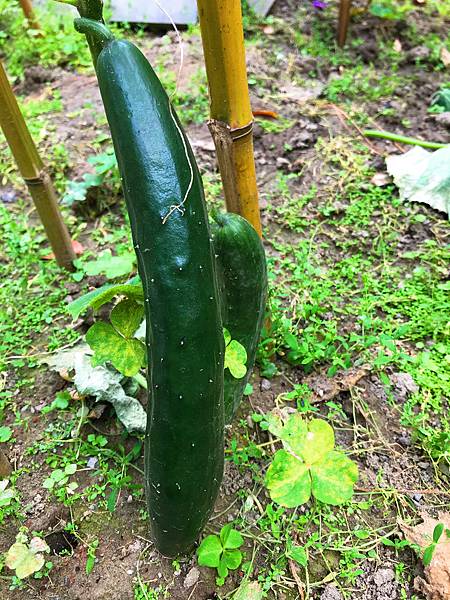 01-6IMG_6147.JPG 01-6IMG_6147.JPG