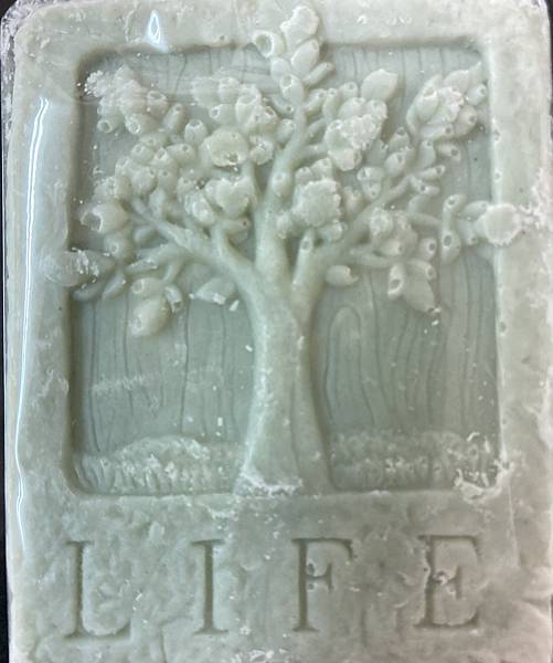 01-4IMG_E1105.JPG 01-4IMG_E1105.JPG