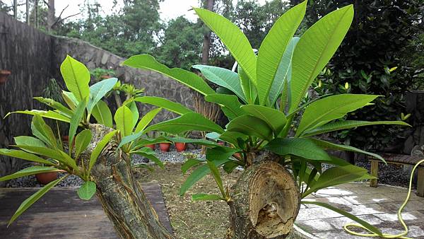 01-3 (1).jpg 01-3 (1).jpg