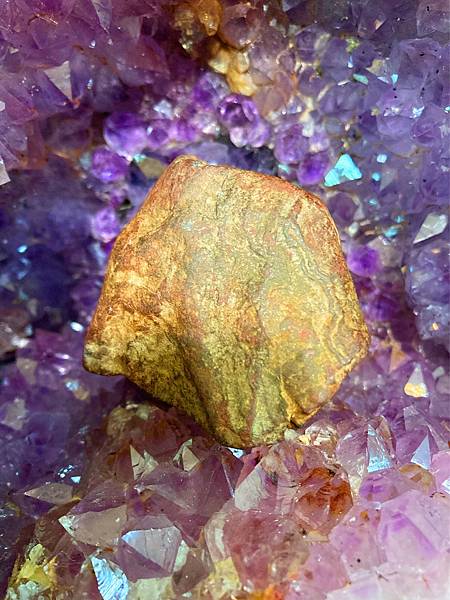 02-5IMG_6478.JPG 02-5IMG_6478.JPG