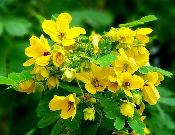 01-1-2.jpg 01-1-2.jpg